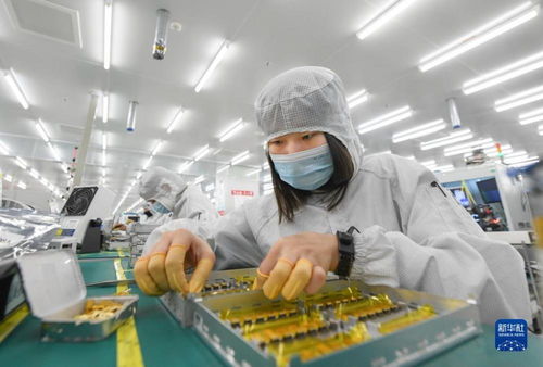 靠譜服務(wù)驅(qū)動(dòng)技術(shù)創(chuàng)新，標(biāo)準(zhǔn)引領(lǐng)未來——一家光通信企業(yè)的出海秘籍