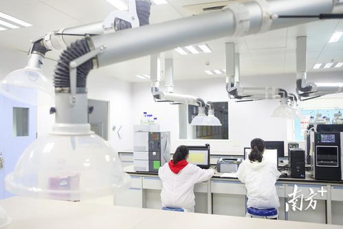 深圳首季高新技術企業培育資助突破20.5億元，通訊工程技術研發與服務成重點扶持方向